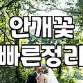안개꽃 한 단을 다 다듬다가 손가락이 좀 얼얼해졌다