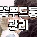 꽃무드등, 예쁜 쓰레기가 되지 않게 하는 현실적인 고민들