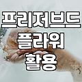 안개꽃을 오래 간직하는 방법과 활용 팁