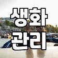 안개꽃 관리 방법과 오랫동안 싱싱하게 유지하는 팁