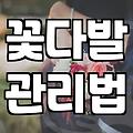 장미꽃다발 가격 결정 요인과 신선도 유지하는 관리법