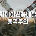 매년 반복되는 카네이션 바구니 고르기가 왜 이렇게 힘든지