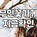 무인 꽃가게에서 덜컥 집어온 미니 화분의 정체