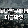 동네 꽃집에서 실패 없이 꽃을 고르는 현실적인 방법