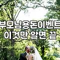 돈꽃다발 제작 시 현금 파손 방지 및 실질적인 예산 책정 방법