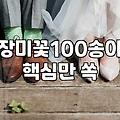 빨간장미꽃다발 가격 산정과 신선하게 유지하는 관리법