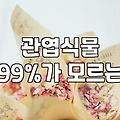 실패 없는 개업축하 화분 선택을 위한 전문가의 현실적인 가이드