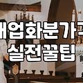 식당개업화분 적정 가격대와 관리가 쉬운 식물 선택법