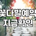 시들어버릴 낭만에 기꺼이 지불하는 비용에 대하여