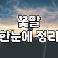 1주년 꽃 선물, 센스 있게 준비하는 법
