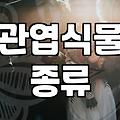 개업화분꽃배달 비용과 주문 시 꼭 확인해야 할 선택 기준