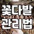 꽃다발 주문할 때 알아두면 좋은 실전 팁들