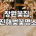 진해 군항제 벚꽃 구경, 기대만큼 좋았을까? 솔직 후기