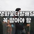 꽃다발주문 할 때 알아야 할 생화 비용과 제작 기간