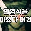 전주꽃 주문 시 실패 없는 식물 선택 기준과 관리 노하우