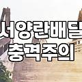 승진 축하 선물로 난(蘭)을 고민할 때 알아야 할 현실적인 이야기들