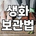 안개꽃 구매 전 꼭 알아야 할 가격과 보관 기간
