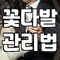 근처 꽃집에서 예쁜 꽃다발을 고를 때 놓치기 쉬운 것들