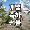 개업화분, 이거 진짜 괜찮은 건가요? 직접 경험한 솔직 후기