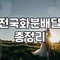 개업화분 종류별 가격대와 식물 관리 요령