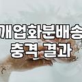 개업식 화분 선택부터 배송까지 실질적인 체크리스트