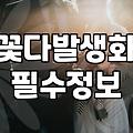 꽃 선물, 예쁜 사진에 속아 낭패 보지 않으려면