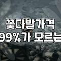꽃다발, 솔직히 돈값 할까? 1주년이나 발표회 준비 전 읽어보세요