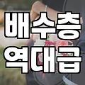 집에서 키우기 좋은 선인장종류 선택 기준과 실패하지 않는 관리법