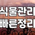바쁜 당신을 위한 사무실화분, 실패 없는 선택 가이드