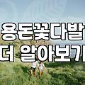 현금꽃다발 제작 시 현금 훼손 방지와 필수 준비물