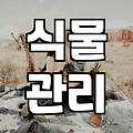 실패 없는 꽃농원 방문을 위한 전략적 선택 기준