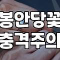 성묘꽃다발 선택 기준과 묘소 환경에 따른 관리 방법