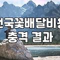 마산에서 꽃 주문할 때 알아두면 좋은 점들