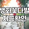 꽃다발생화 신선하게 유지하는 관리법과 구매 시기 선택