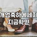 개업화분, 이거 진짜 괜찮을까? 경험자가 말하는 현실적인 선택 가이드