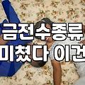 개업화분대형 크기별 가격과 배송 시 주의할 점