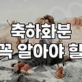의정부에서 꽃을 산다는 것: 예쁜 꽃보다 중요한 현실적인 고민들
