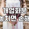 대형화분, ‘있어 보이는’ 것만이 능사가 아니더라: 30대 직장인의 솔직 경험담