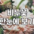 크리스마스꽃다발 가격 구성과 예약 시기