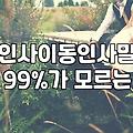 직장 동료나 지인의 영전과 취임을 축하하는 화분 고르기