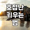 개업이나 승진 축하용 서양난, 오래 두고 관리하는 방법
