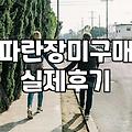 파란 장미를 구하러 굳이 봉담까지 다녀왔던 날