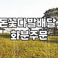 안중 꽃배달, 처음 보낸 후기: 생각보다 신경 쓸 게 많더라