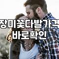 꽃다발선물 가격 결정 요인과 예산별 현명한 선택 기준