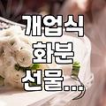 친구가 무인 빨래방을 열었다는데 화분만 열 개가 넘게 들어왔다