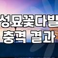 성묘 꽃다발, 생화냐 조화냐 고민하는 당신을 위한 현실적인 가이드