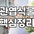 실패 없는 개업화분 선택과 매장 분위기를 결정짓는 안목