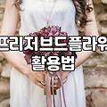 방 안의 작은 정원, 꽃 무드등 고를 때 확인해야 할 점들
