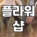 꽃바구니당일배달 신청 전 반드시 확인해야 할 현실적인 체크리스트