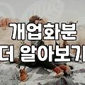 해피트리, 갑자기 잎이 축 처지는 이유를 모르겠어요
